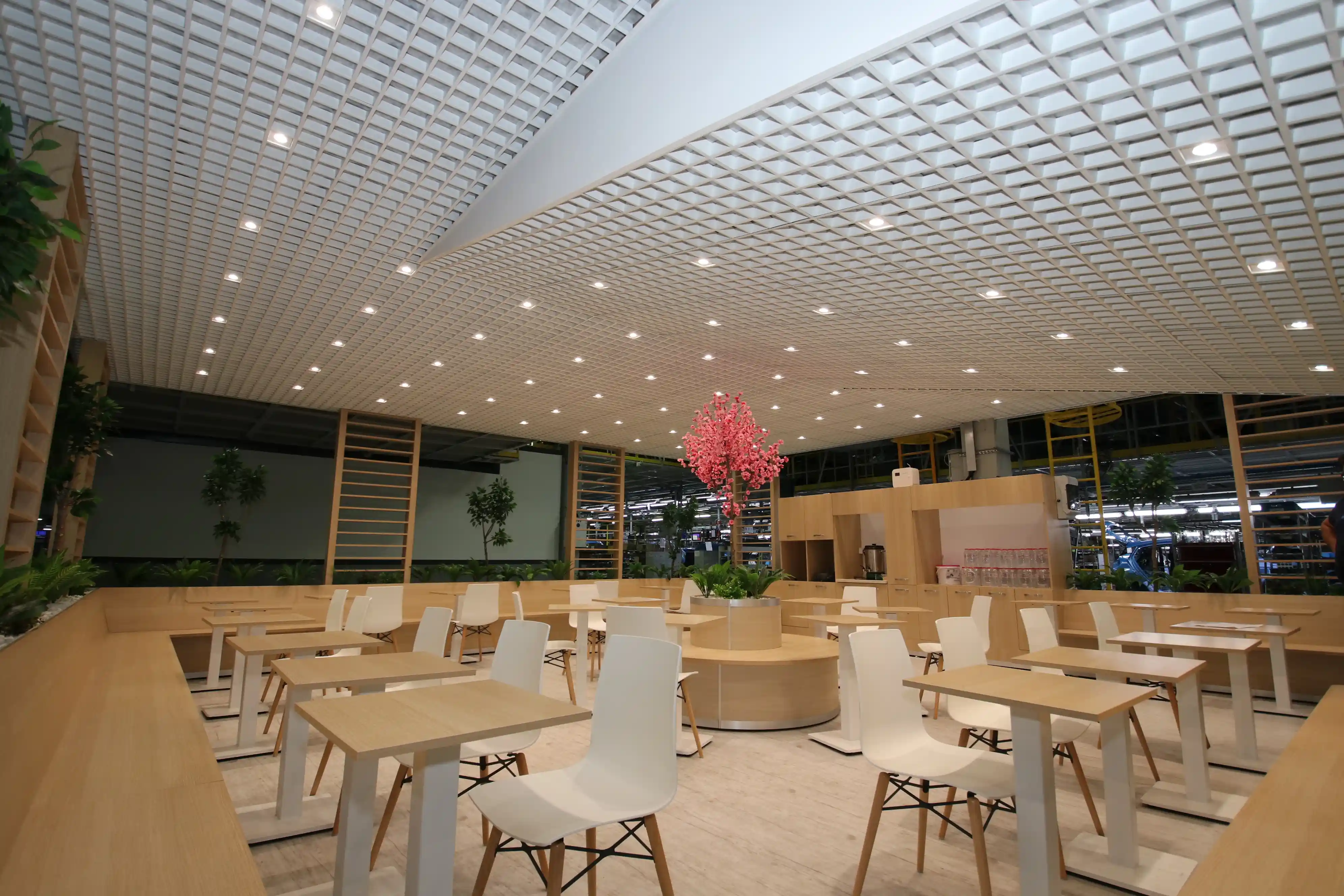 T15-tasiyicili-petek-asma-tavan